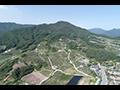 봉황산 전경 썸네일 이미지