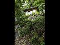 옥대리 모산 성황당 전경 썸네일 이미지