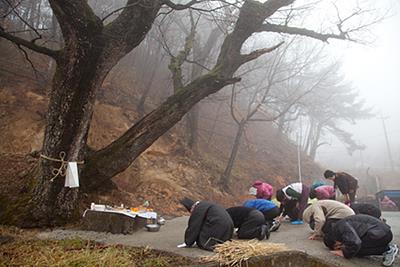 단천마을 당산제 썸네일 이미지