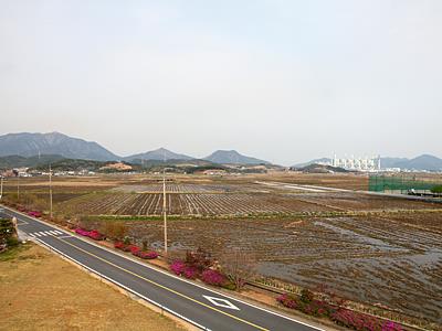 금성면 평야지대 썸네일 이미지