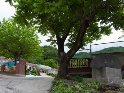 화개초등학교 왕성분교장 교문 썸네일 이미지