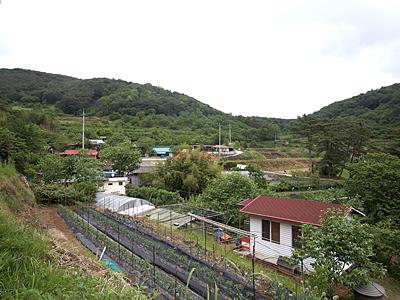 박달리 썸네일 이미지