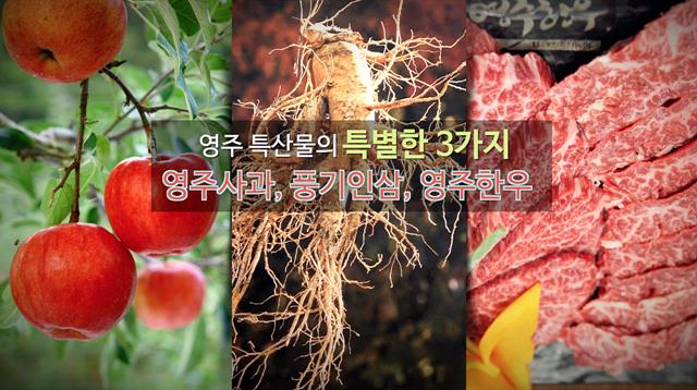 영주 특산물의 특별한 3가지. 영주사과, 풍기인삼, 영주한우 썸네일 이미지