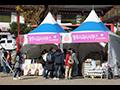 영주사과축제 행사장 풍경 썸네일 이미지